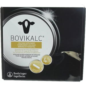 Bolussen Rundvee